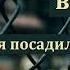 Свидетельство В Лесков МСЦ ЕХБ