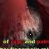 CLICK TO LISTEN Dark Fantasy Audiobook Mortis Maledictum Full Cast Audio Drama