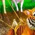 Tiger Rescue Mission Heroic Farm Animals Saves Tiger From Big Pit Hole Cow Horse Pig Deer Zebra