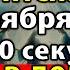 15 ноября СКАЖИ ДОСТАТОК И ДЕНЬГИ БУДУТ В ДОМЕ ВЕСЬ ГОД Молитва Спиридону Тримифунтскому Канон