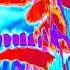 VALD REGULATION RELOADED Feat VLADIMIR CAUCHEMAR TODI3FOR