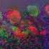Yoh Kamiyama Yellow Slowed Reverb
