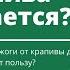 Почему крапива кусается Опасны ли ожоги от крапивы для здоровья или они приносят пользу