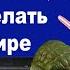 Темная сторона радиосвязи радиохулиганы или что не стоит делать в радиоэфире