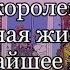 4 КОРОЛЕВЫ Личная жизнь в ближайшее время