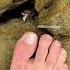 Crab Pedicure ASMR Sounds Shorts