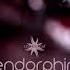 Germind Endorphin FULL ALBUM Psychill Psybient Ambient Chill Psychedelic Chill Out