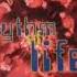 3 Of The Living Rhythm Of Life Extended Version