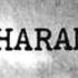 Haram Plastic Hearts