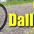 Exploring Dallas Texas Downtown Dealey Plaza Deep Ellum Levee Trails More