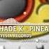 Shade K OnDaMiKe Pineapple Original Bonus REMIX