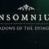 Insomnium While We Sleep Lower Pitch