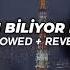 Gripin Nasılım Biliyor Musun Slowed Reverb