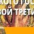 Внутренняя политика Российского государства в первой трети XVI в