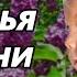 Ольга Седова Гроздья сирени Стихи Онлайн театр из Екатеринбурга