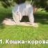 Упражнения для активации чакр тантра кундалини энергия чакры