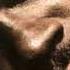 Isaac Hayes Don T Let Me Be Lonely Tonight