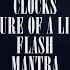 Clocks Adventure Of A Lifetime Flash Mantra