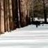 Winter Sonata Richard Clayderman