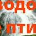 Шум водопада пение птиц1 Красивый водопад 2 часа White Noise
