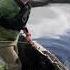 Robert Twigger Builds A Coracle As Part Of Wigtown Book Festival 2022