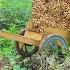 Farmer CUTIS Goes Harvest Vegetables To Sell To Earn Money Feed Friends