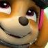 Marshall And Skye Rescue Knights Episodes And More PAW Patrol Cartoons For Kids