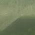 New Shark Species Discovered In Puget Sound