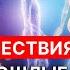 Следы Прошлого Как Веды Раскрывают Истории Наших Жизней