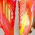 Ultimate Nike Vs Adidas Vapor Vs F50 Footballboots Soccercleats Cleats Nike Adidas