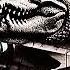 BOMBARDIRO CROCODILO FUNK SLOWED