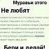 МУРАВЬИ ЭТОГО НЕ ЛЮБЯТ Shortvideo обовсём Youtubeshorts муравьи садоводы полезныезнания