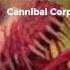 Cannibal Corpse Inhumane Harvest