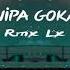 LOVE POTION NIPA GOKA Rmx Lx Official Remix 2020