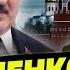 Лукашенко надеется на трампа Таро прогноз