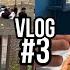 UŞAĞLIĞ DOSTUMUN TOYU OLDU VLOG Ayka 14