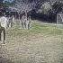 Hey Guys What Do You Think Of My Goal Futbol Freekick BestFutbolEditz