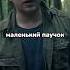 Утопия Шоу Про Укус Паука Shorts факты наука