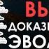 Вьюрки с Галапагосских островов доказательство ли это эволюции