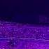 BTS ARMY Purple Ocean After 2 Years Its So Emotional