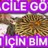 BABAM ACİLLİK OLDU ANNEM SÖZ DİNLEMİYOR BİMDEN ANNEM İÇİN ALDIM BABAMIN ODASINA EL ATTIM PİŞMANIM