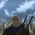 The Witcher 3 Wild Hunt OST The Fields Of Ard Skellig