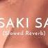 O Saki Saki Slowed Reverb Song