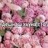 мадина Домбаева песня Ера яц къинтера новинка
