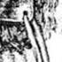 Heinrich Cornelius Agrippa Von Nettesheim 1486 1535