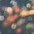 Pink Floyd Obscured By Clouds 1972