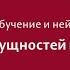 Python Поиск сущностей в тексте Spacy