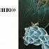Сила подсознания Ключ к подсознанию Глава 3 Сознание