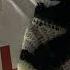 Benjamingotbenz Hood Goth Code10 Type Beat SC Sound 126bpm Funnyboyxd Kisel100archive