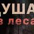 ГОЛОДУША Страшный Рассказ Самая Страшная Книга 2022 АУДИОКНИГА